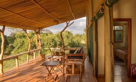 Ol Pejeta Safari Cottages Ol Pejeta Conservancy Photos Trips From