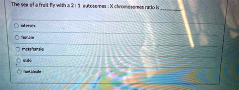 Solved The Sex Of A Fruit Fly With A Autosomes Xchromosomes Ratio Is Intersex Female