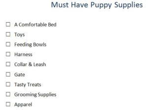 Must Have Puppy Supplies Checklist