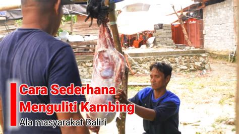 Cara Menguliti Kambing Mappakolonni Beke YouTube