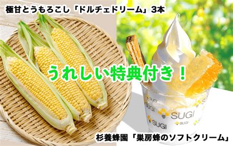 ＜429出発限定＞熊本ブランド牛ランチと観光トロッコ列車で阿蘇の自然大満喫！あま～いとうもろこし狩り＆はちみつソフトクリーム特典付き♪