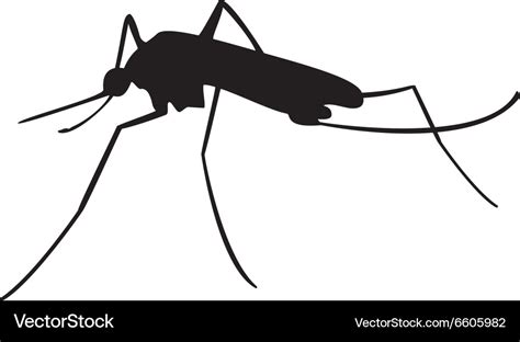 Mosquito black silhouette Royalty Free Vector Image