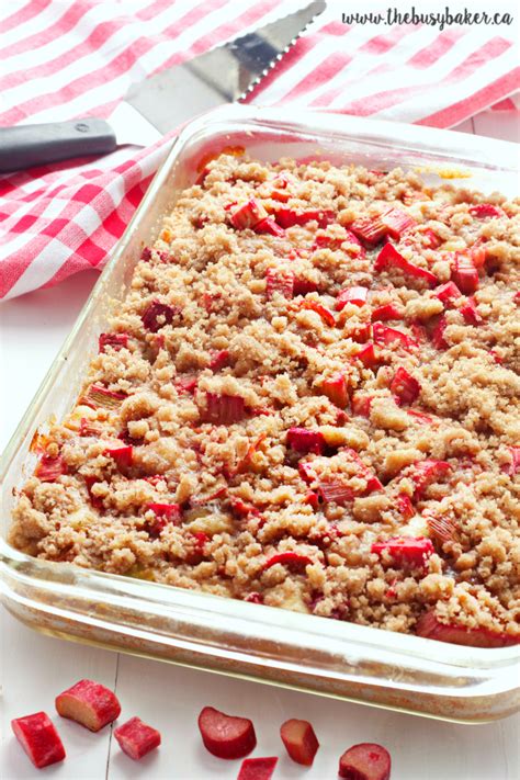 Rhubarb Streusel Cake The Busy Baker