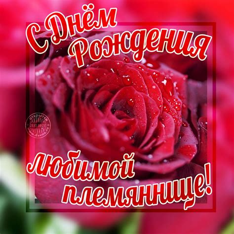 Поздравления Племяннице Фото — Pozdravlyamba.ru