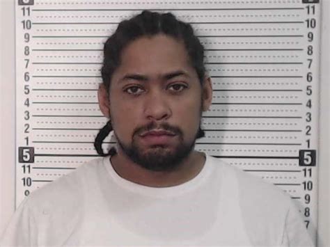 Wanted Sex Offender Captured After Fleeing From Police In Chillicothe Scioto Valley Guardian