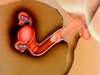 Free Impregnation Porn Videos Xhamster