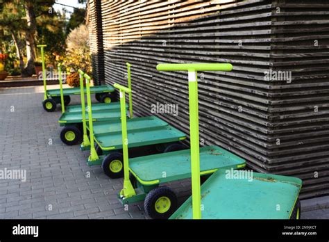 Shopping Carts In The Garden Nursery Center Stock Photo Alamy