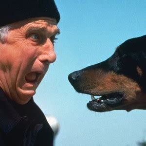 The Naked Gun 2 1 2 The Smell Of Fear Rotten Tomatoes