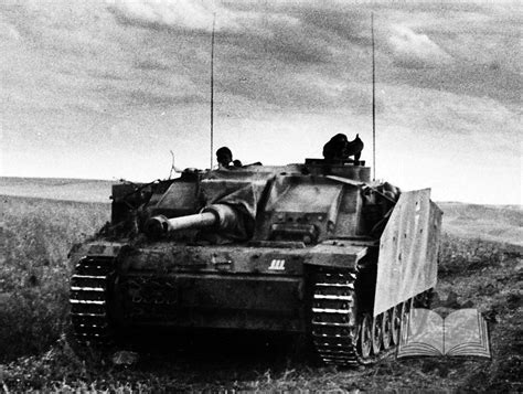 Florian Geyer Stug Iii Question Page 7 Missing Lynx