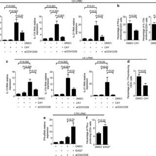 Sirt Inhibits The Expression Of Inflammatory Cytokines In Ibd Lpmc