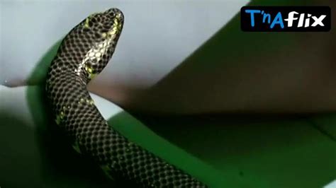 Aya Sugimoto Breasts Scene In Flower And Snake Porn Videos