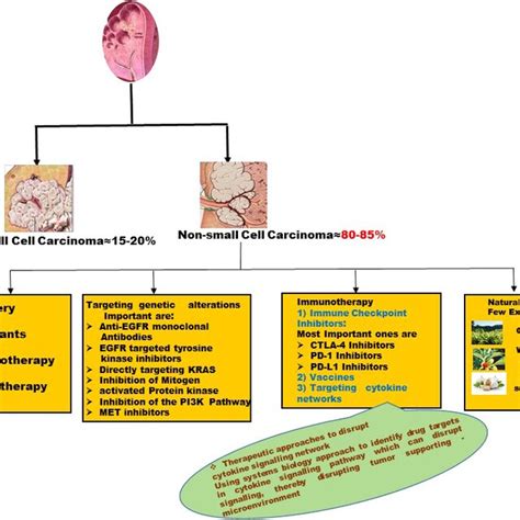 Non‐small Cell Lung Cancer Nsclc—an Overview Download Scientific