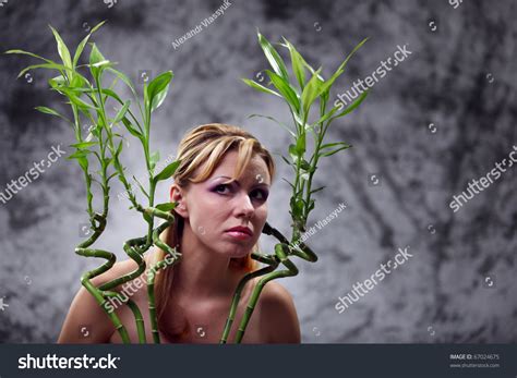 Стоковая фотография 67024675 Naked Woman Body Bamboo Shutterstock