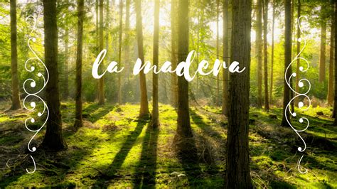 la madera secretos de decoracion llenos de luz  color