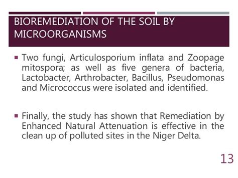 Beneficial And Harmful Effects Of Microorganisms