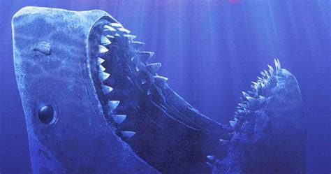 meg mite   love  hate  meg  daily jaws