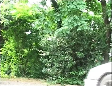 Le Signore Lo Prendono Doppio Episode Blowjob Porn Feat Erika