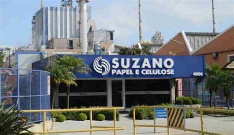 Vagas Na Suzano Celulose E Papel - PROGRAMA DA SUZANO PAPEL E CELULOSE OFERECE MAIS DE 70 VAGAS DE ...