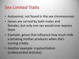 Lec Sex Determination Ppt