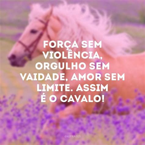 Frases Sobre Os Cavalos - 5