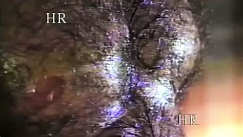 Two Hot Author Scenes For Eager Women In Heat Xhamster