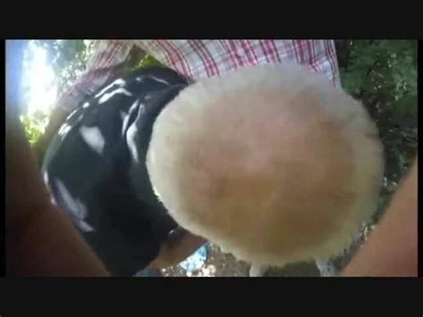 Vid Os Porno Gratuites Vieux Gay En Plein Air Xhamster