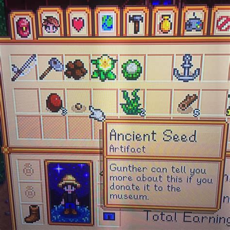 What should i do with ancient Seed? : r/StardewValley