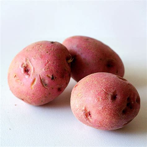 Produce Codes Potatoes Flashcards Quizlet