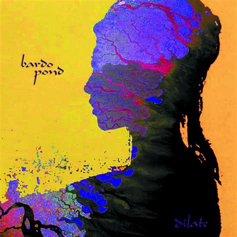 Bardo Pond Ganges Lyrics Genius Lyrics