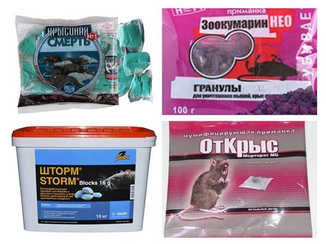 Самые эффективные средства от крыс и мышей