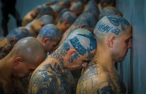 Qué consecuencias tiene en América Latina la llegada de pandilleros que huyen de El Salvador por