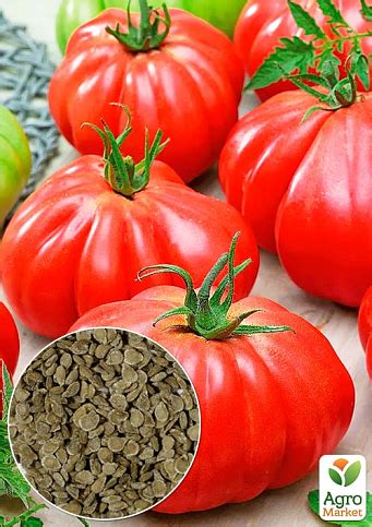 Томат "Райское наслаждение" ТМ "Весна" 0.1г купить почтой в Одессе ...