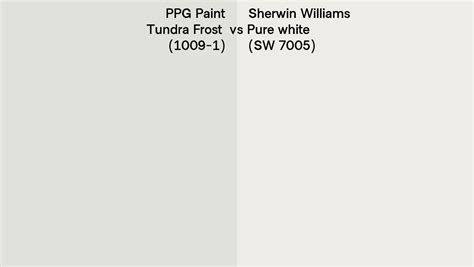 PPG Paint Tundra Frost 1009 1 Vs Sherwin Williams Pure White SW 7005