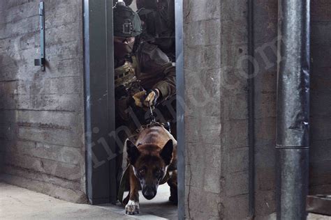 Mechanix 4x Original K9 Finland