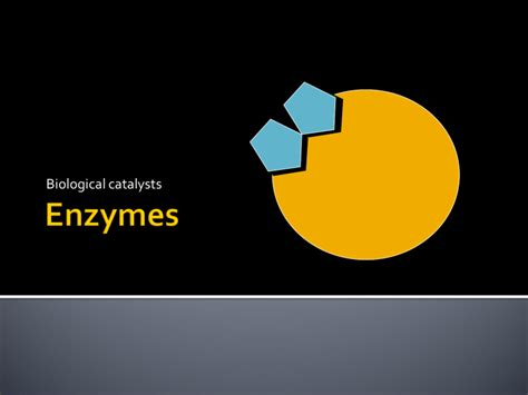 Enzymes Biological Catalysts Structure Function Factors