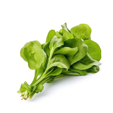 Premium Ai Image Lettuce On White Background Isolated On White Background