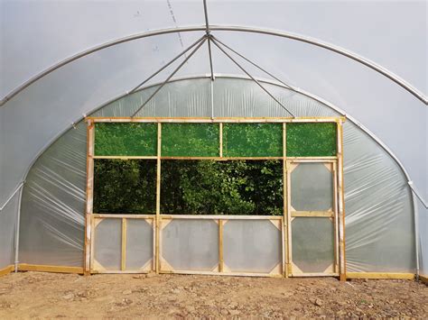 Drop Down Vent Panel. - Five Star Polytunnels