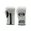 Cleto Reyes Professional Boxing Gloves Wbc Edition Cleto Reyes Usa