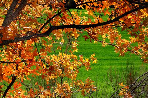 Contraste Malijai Alpes De Haute Provence Charlotte Segurel Flickr