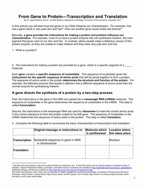 Dna Transcription And Translation Worksheet Chessmuseum Template