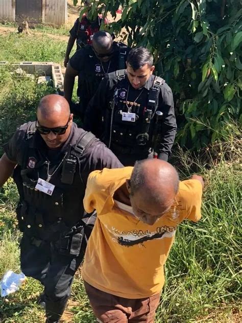 Woman Caught Neighbour Having Sex With Her Cat After Hearing Pet Screaming Irish Mirror Online