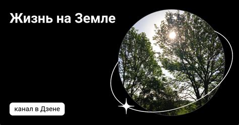 Жизнь на Земле | Дзен