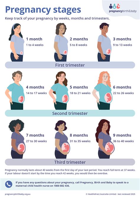 Stages of pregnancy | Pregnancy Birth and Baby 