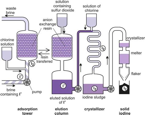 purified water anion exchange  sophia iliffe blog
