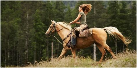 The Riders Prayer A Beautiful Bond Between Horse And Rider