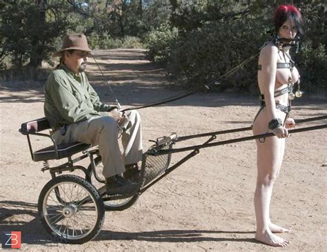 Moon The Ponygirl ZB Porn