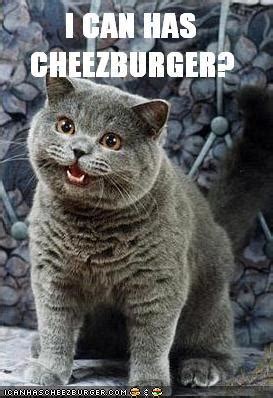 I Can Has Cheezburger Original Meme I Can Has Cheezburger