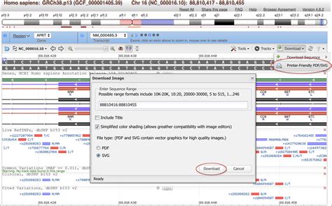 Vector graphics downloads now available in NCBI genome browsers and ...