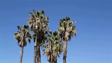 Topher Dimaggio Gay Porn Videos Porn Star Sex Scenes Xhamster