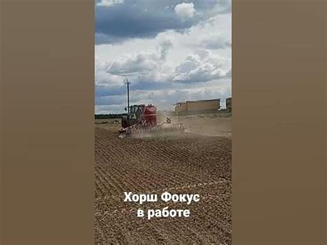 Хорш Фокус в работе #агроном #сельскоехозяйство #HORSCH - YouTube